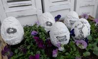 Deko shabby Eier Ostern Neumünster - Tasdorf Vorschau