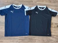 Puma Liga Sport-Shirt / Trikot Gr 152 schwarz und dunkelblau Baden-Württemberg - Ludwigsburg Vorschau