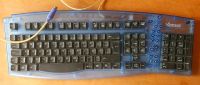 Multimedia Tastatur PS 2 blau Brandenburg - Spremberg Vorschau