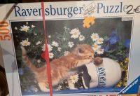 Puzzle Katze Katzen 500 Teile ravensburger puzzel Bayern - Pfreimd Vorschau