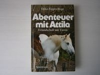 Abenteuer mit Attila - Buch ! Pferde ! Erika Ziegler-Stege ! RAR Nordrhein-Westfalen - Welver Vorschau