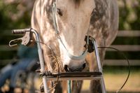 Hallo Ponybesitzer Bayern - Neuburg a.d. Donau Vorschau