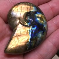 Traumhafte Labradorite geschliffen von Meisterhand in England Nordrhein-Westfalen - Ibbenbüren Vorschau