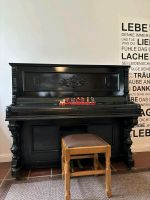 Klavier mit Hocker Niedersachsen - Haselünne Vorschau