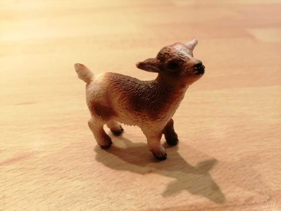 SCHLEICH Zicklein 13716 in Dinslaken