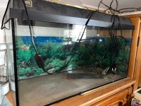 Juwel Aquarium 80 x 35 x 40 cm mit 112 Liter Bayern - Untergriesbach Vorschau