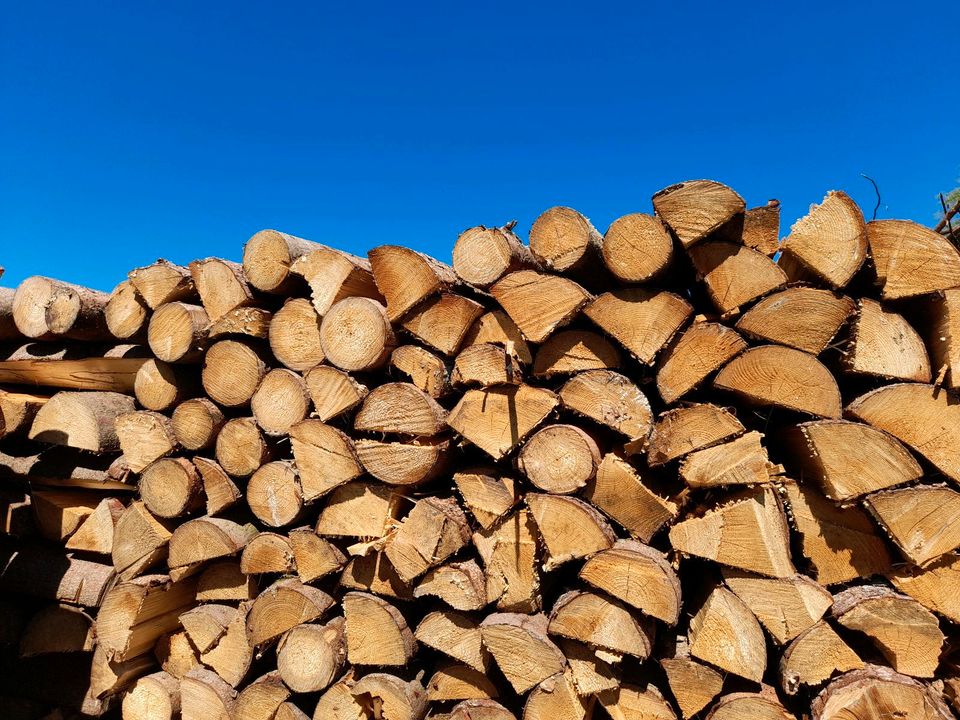 Brennholz Fichte 1 m gespalten in Mindelstetten