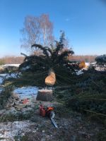 Baumfällung Hecke schneiden Pflasterarbeiten Zaunbau Leipzig - Leipzig, Zentrum Vorschau