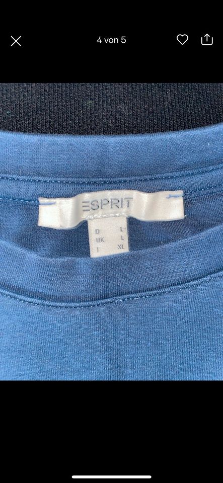 Esprit Umstandspullover M&L 2 Stück neuwertig in Detmold