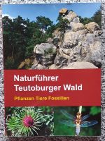 Naturführer Teutoburger Wald - Pflanzen Tiere Fossilien Bayern - Kempten Vorschau