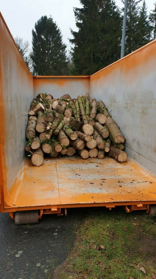 Baumfällung Gartenarbeit in Peheim