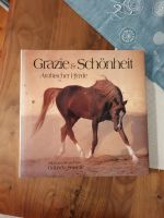 Grazie und Schönheit Arabischer Pferde Niedersachsen - Lüneburg Vorschau