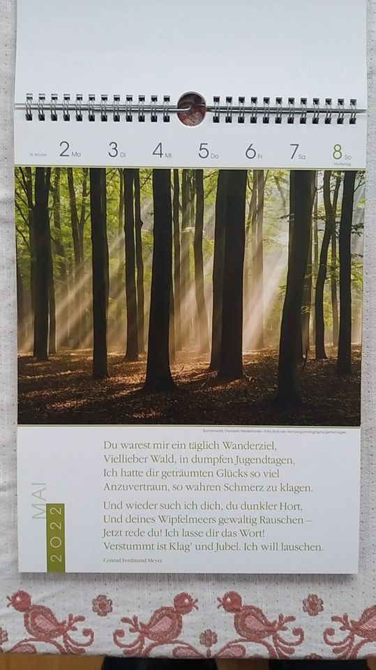 Literaturkalender Magische Wälder 2022 Waldkalender in Fulda