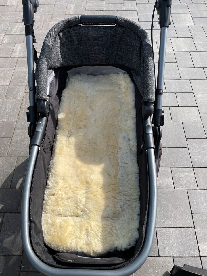 TFK Mono Sport Kombi Kinderwagen in Weißensee