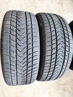 2 Stück Winterreifen Gripmax  Winter 255/40 R 21 102V XL (R15) Hessen - Bad Homburg Vorschau