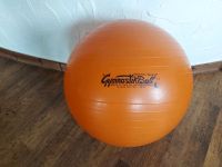 Gymnastikball 53cm groß Pezziball Pezzi Ball Hüpfball Brandenburg - Nauen Vorschau