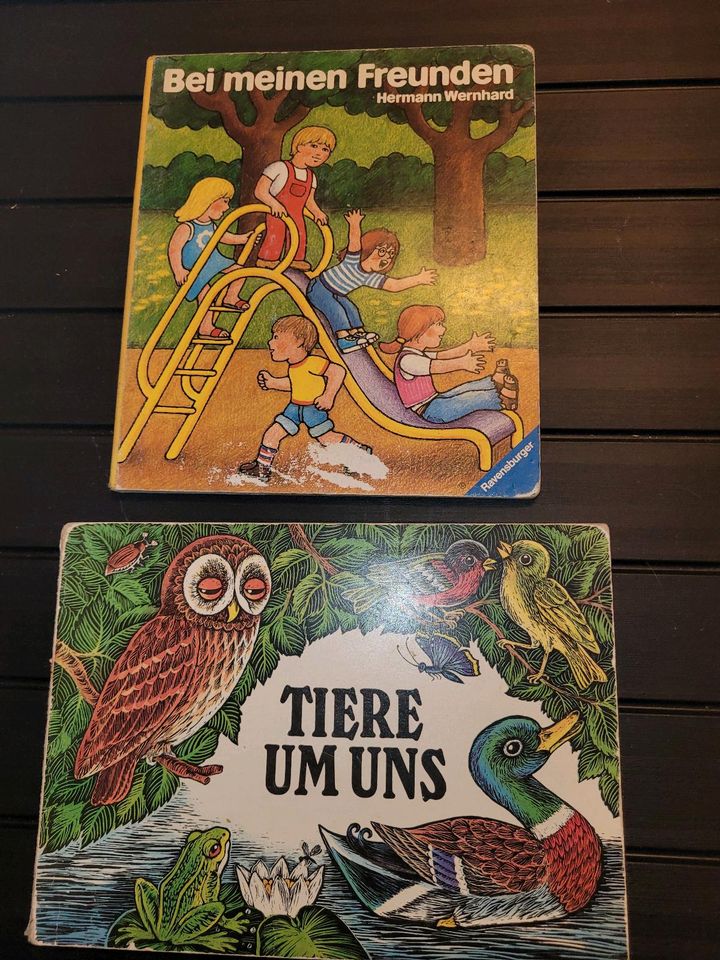 2 alte Kinderbücher / Pappbücher in Bentzin