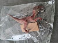 Schleich Dinosaurier Velociraptor Neu Wuppertal - Barmen Vorschau