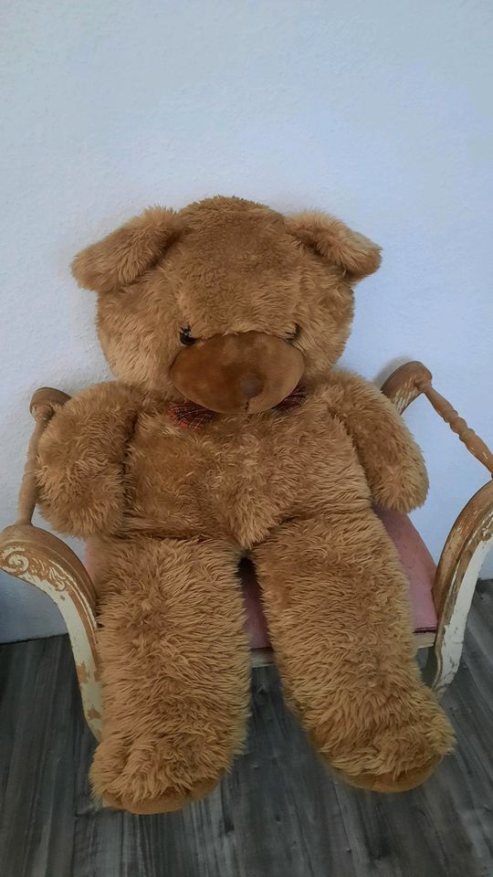 Großer Teddybär braun ca.90 cm kuschelig in Essen