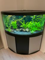 Fluval Venezia 350 Hessen - Hofbieber Vorschau