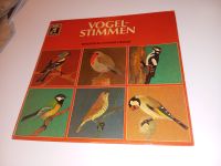 Schallplatte Vogel Vögel Vogelstimmen EMI 1960er Hamburg-Mitte - Hamburg Hamm Vorschau