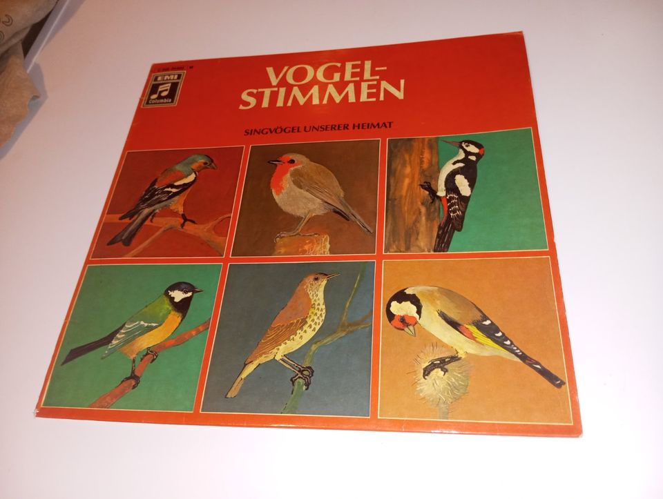 Schallplatte Vogel Vögel Vogelstimmen EMI 1960er in Hamburg