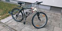 Schwinn Mountainbike Fahrrad 26Zoll Guter Zustand Fahradhelm dazu München - Moosach Vorschau