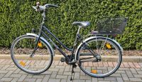 Fahrrad Damen  Peugot 26 Zoll inkl.Korb Klick Fix System Niedersachsen - Wietze Vorschau