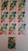 Match Attax Bundesliga 21/22 SPVGG Greuther Fürth Bayern - Oberhausen a.d. Donau Vorschau