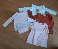 Shirts Set Nossen - Zetta Vorschau