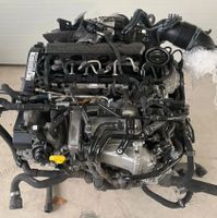 MOTOR VW AUDI SEAT 2.0 TDI CRL CRLA CRLB 65 TKm TOP ! ! ! Sachsen - Halbendorf Vorschau