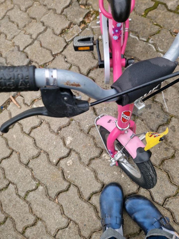 Puky Fahrrad Rosa 12 Zoll89 in Sundern (Sauerland)