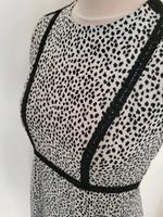 Gepunktetes Kleid mit Spitze, schwarz/weiß, H&M 40 Innenstadt - Köln Altstadt Vorschau