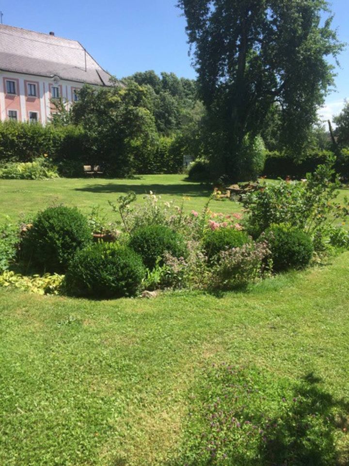 Charmante 5-Zimmer Wohnung beim Schloss mit riesigem Garten in Oberhausen a.d. Donau