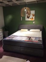 NEU ab Lager: Boxspringbett in Stoff grau Kr. München - Kirchheim bei München Vorschau