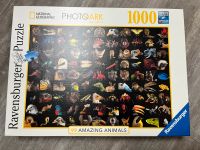 Ravensburger Puzzle 1000 Teile National Geographic 99 Amazing Ani Baden-Württemberg - Ettlingen Vorschau