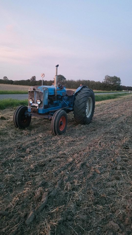 Fordson Major bj1962 HU 7/25 in Lutterbek