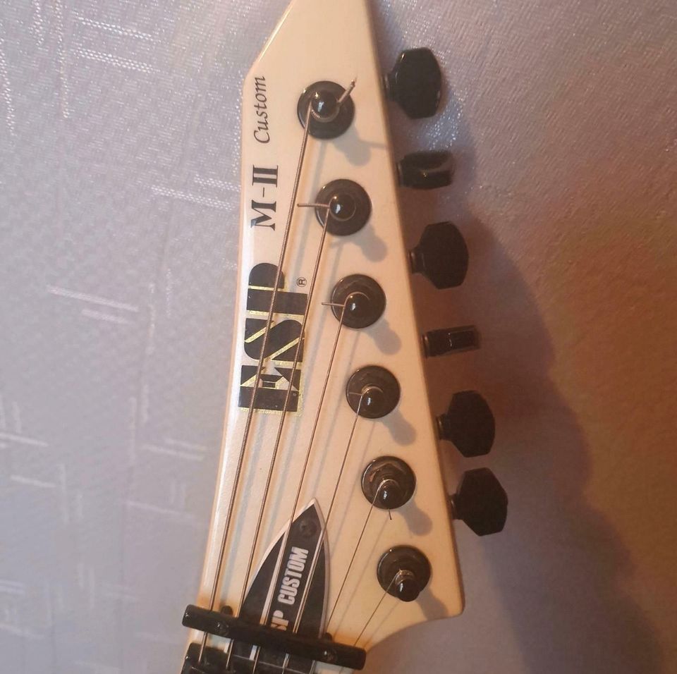 E-Gitarre ESP M-Il Custom in Uffenheim