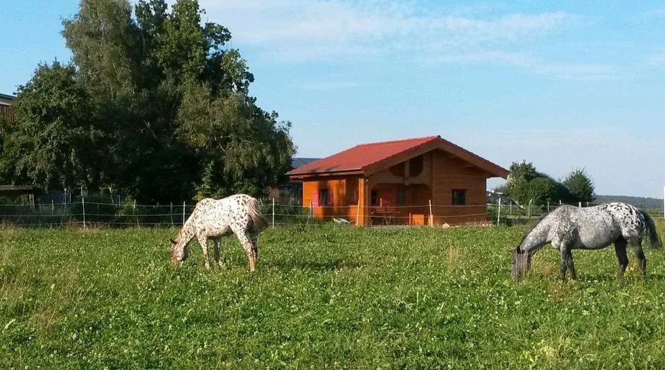 Ferienhaus, Blockhaus auf dem Bauernhof in Berghülen