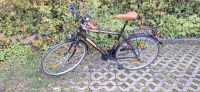 Herren Fahrrad Sachsen - Mehltheuer Vogtl Vorschau