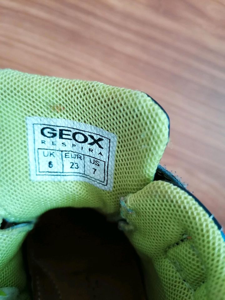 Schuhe Gr. 23, Badeschuh, Turnschuh, Halbschuh, Geox in Mindelheim