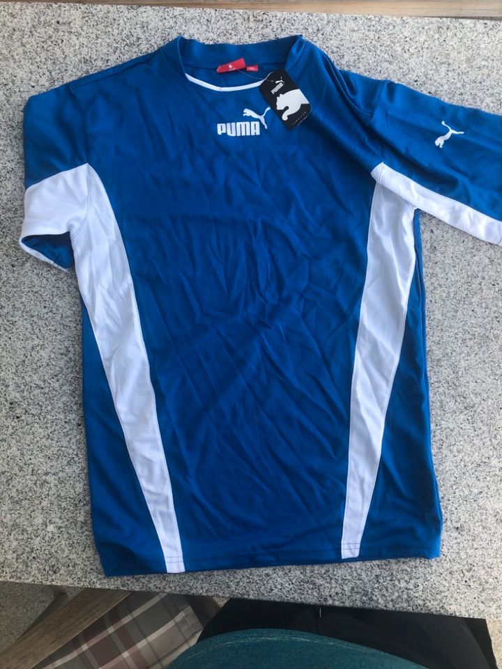 Puma T-Shirt, Trikot, blau/weiss, neu und ungetragen in Herzogenaurach