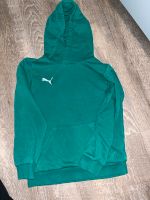 Hoodie, Puma grün 134/140 Leipzig - Leipzig, Zentrum Vorschau