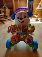 Lauflernwagen Fisher Price Hund Bayern - Biessenhofen Vorschau