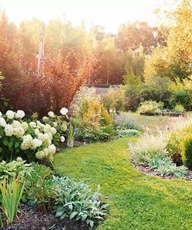 Gartenarbeit| Gartenpflege| Heckenschneiden| Baumfällung in Böhmenkirch