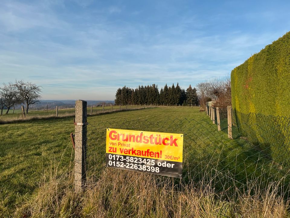 Grundstück/Landwirtschaftsfläche/Wiese 1220m2 in Sachsen Döbeln