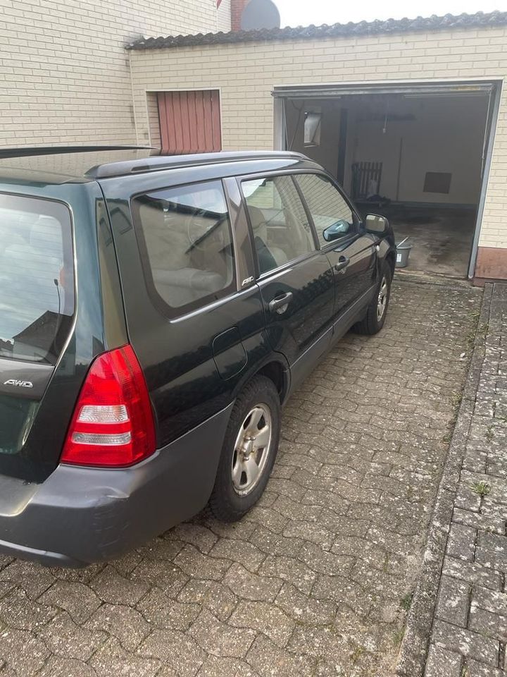 Subaru Forester in Walsrode