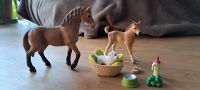 Schleich Pferde / Tierbabypflege - Set 22 Bayern - Isen Vorschau