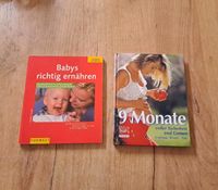 Bücher Schwangerschaft Baby Ernährung Thüringen - St Gangloff Vorschau