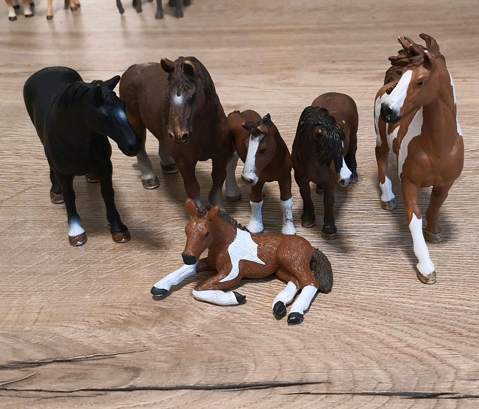 Schleich Pferde-Herde 10 braune Pferde von klein bis stattlich in Leipzig